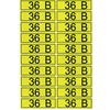 36 В 15х50