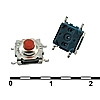 WSTP7750-250AR