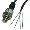 CMPT124B-234-10Bar-0.5-4.5V-G1/4-Packard