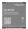 модуль SLM130-G MEIG
