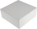 B021LG корпус 250x250x100 мм