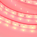 RTW-PFS-A60-11mm12V Red (4.8 W/m, IP68, 2835,