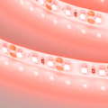 RTW-SE-A120-8mm 12V Red (9.6 W/m, IP65, 2835,