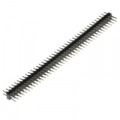 PLD2-80