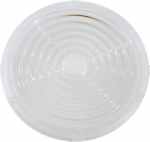 S01.01.01.073_SS-D265-XX-120 линза диам.265мм