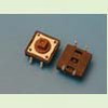 SWT-9 (TS1273)