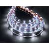 FS-LED 3528SMD-600LED-12V-9.6W-IP67/tube-5m.W